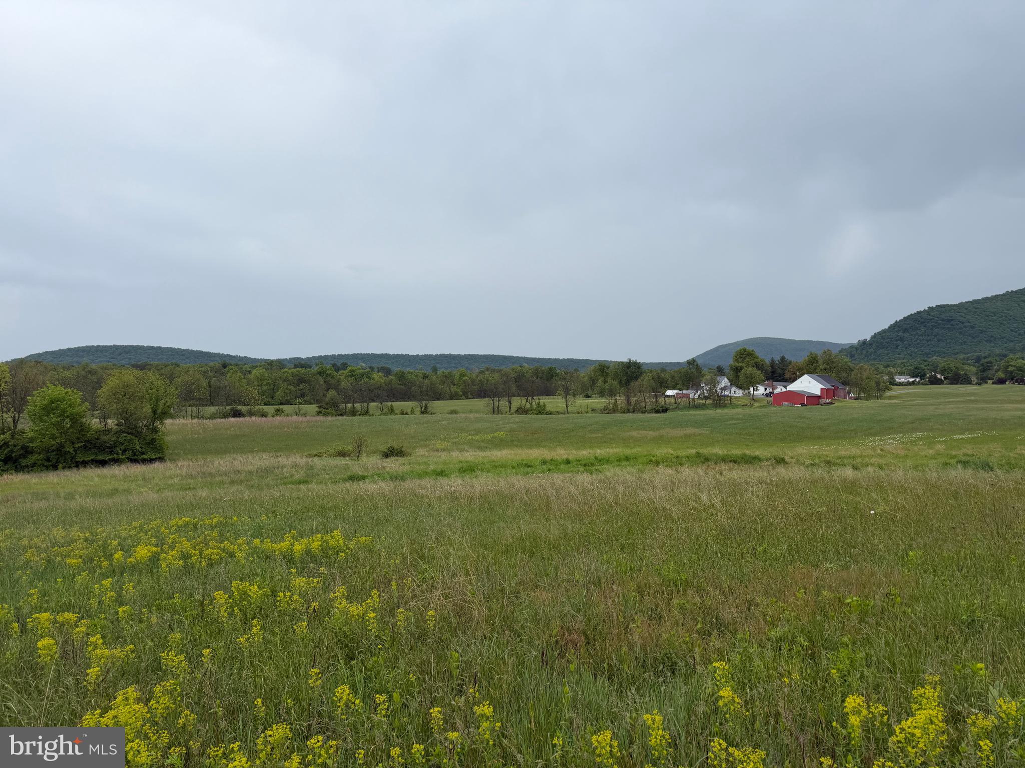12591 Shimpstown Road Mercersburg, PA 17236 - Photo 56 of 147