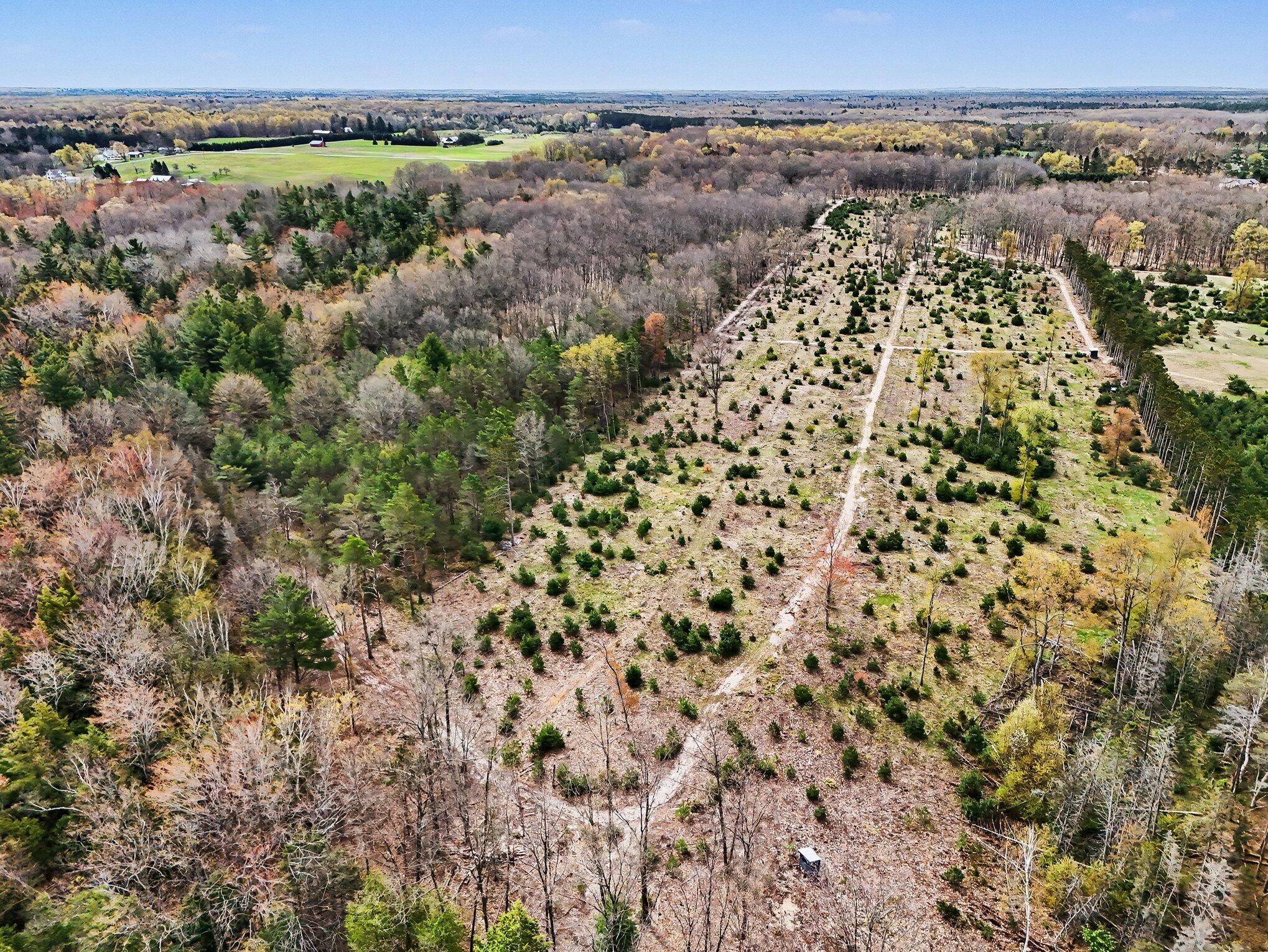 Vl South County Line Road West Manistee, MI 49660 - Photo 11 of 23 aerial photo