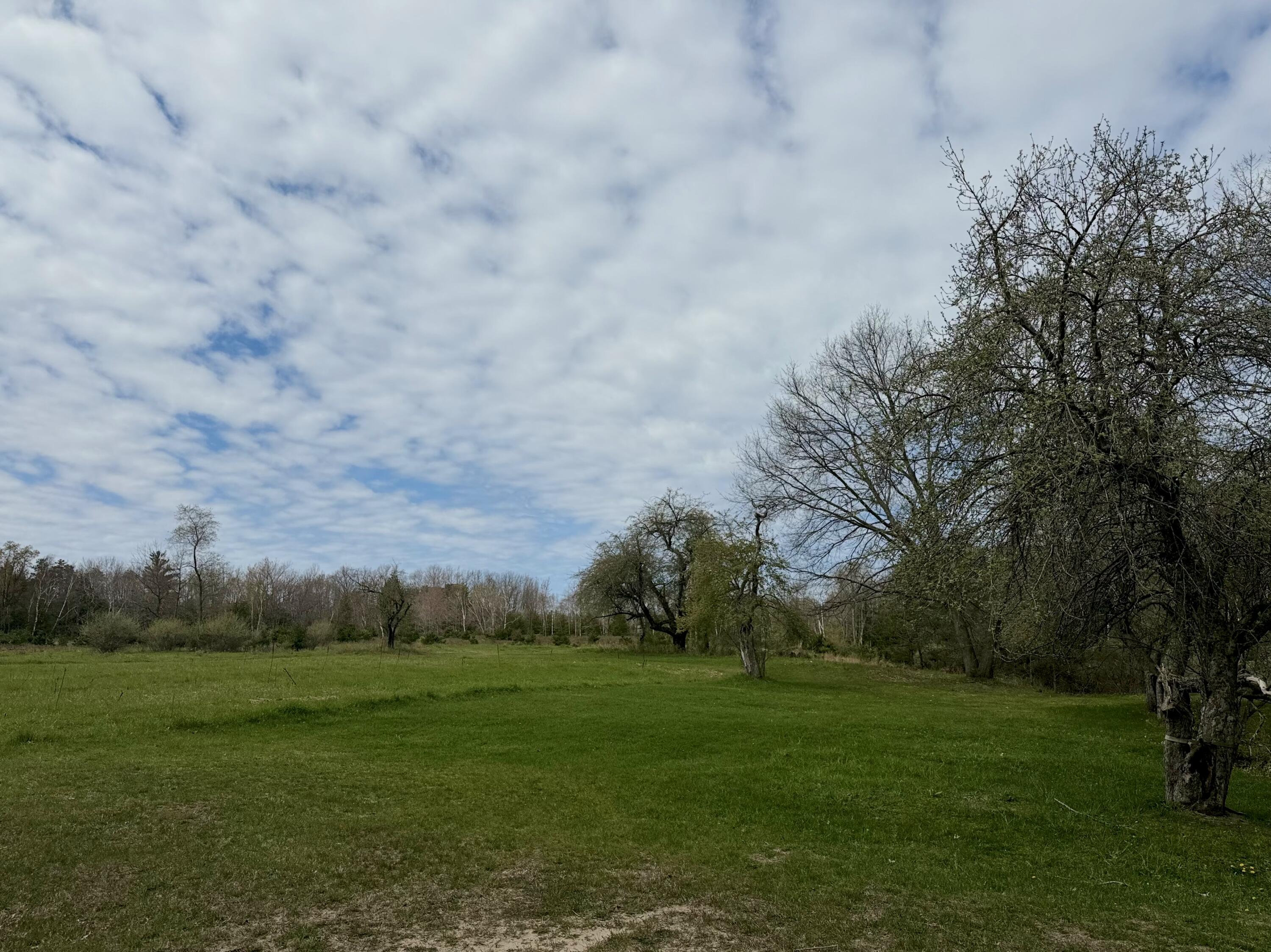 Vl South County Line Road West Manistee, MI 49660 - Photo 15 of 23 cleared area