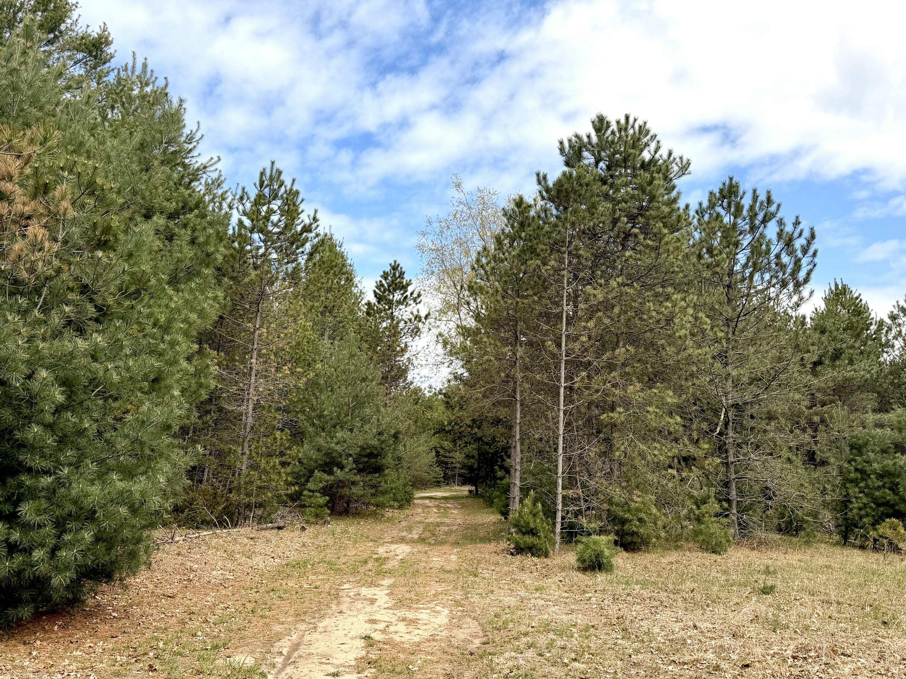 Vl South County Line Road West Manistee, MI 49660 - Photo 17 of 23 trail on property