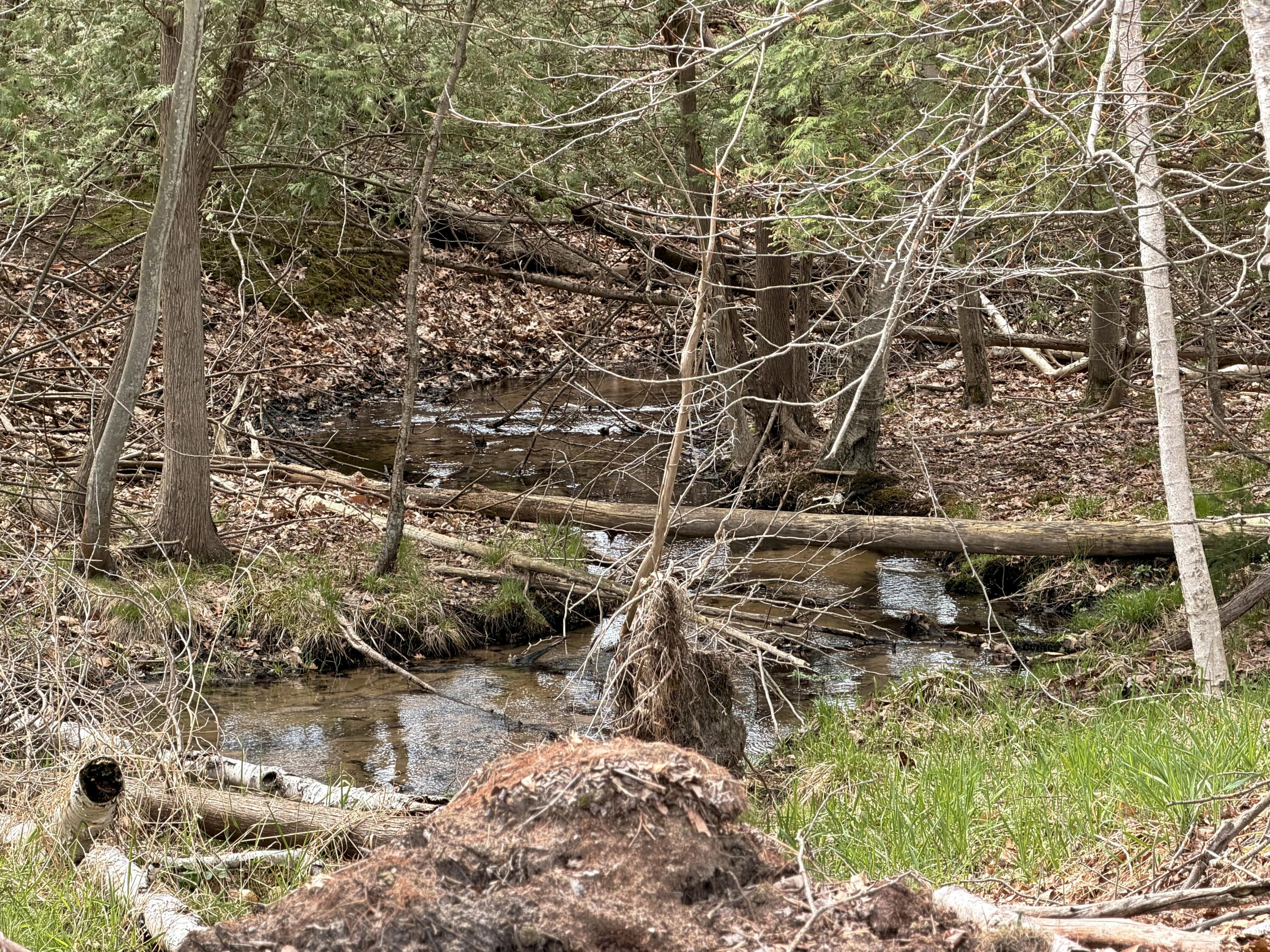 Vl South County Line Road West Manistee, MI 49660 - Photo 8 of 23 Creek running through property