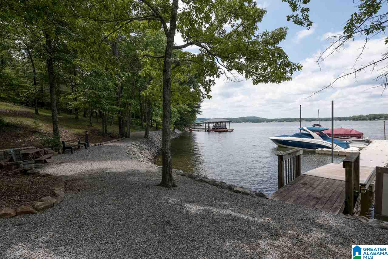 100 Waters Edge Drive Alpine, AL 35014 - Photo 46 of 50