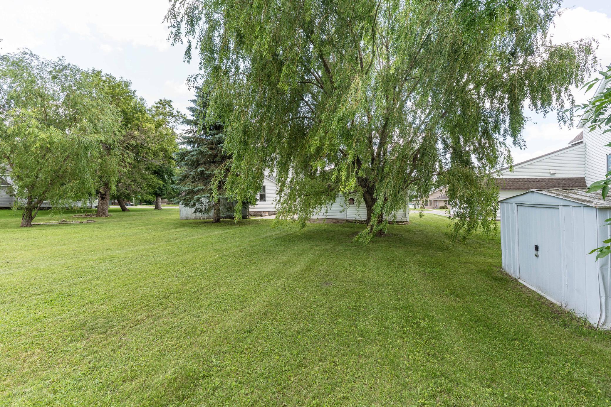 218 East Main Street Cyrus, MN 56323 - Photo 8 of 61