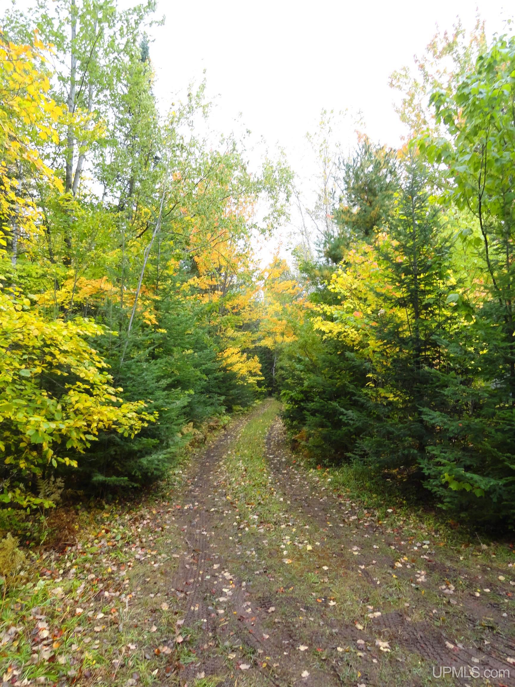 Tbd Tbd Granite Point Road Marquette, MI 49855 - Photo 29 of 41
