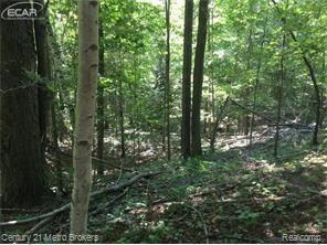 0 Huron Line Road East Minden City, MI 48456 - Photo 42 of 63 5030052560_91.jpg