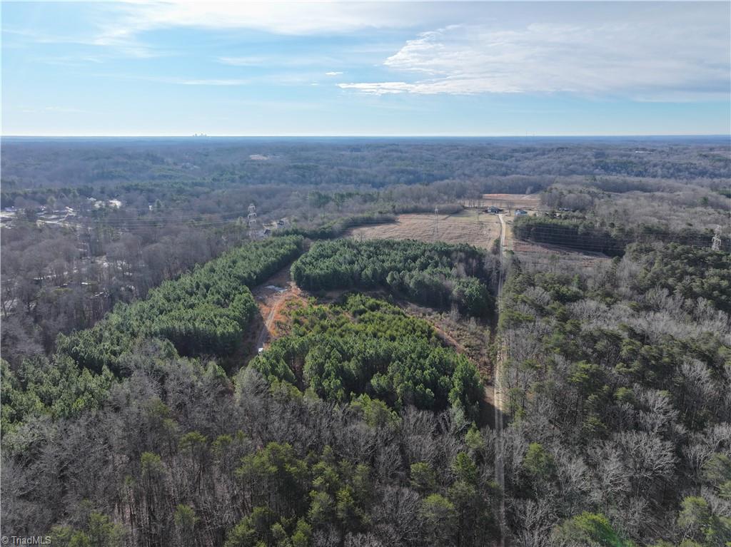 7975 Evans Farm Road Tobaccoville, NC 27050 - Photo 11 of 13