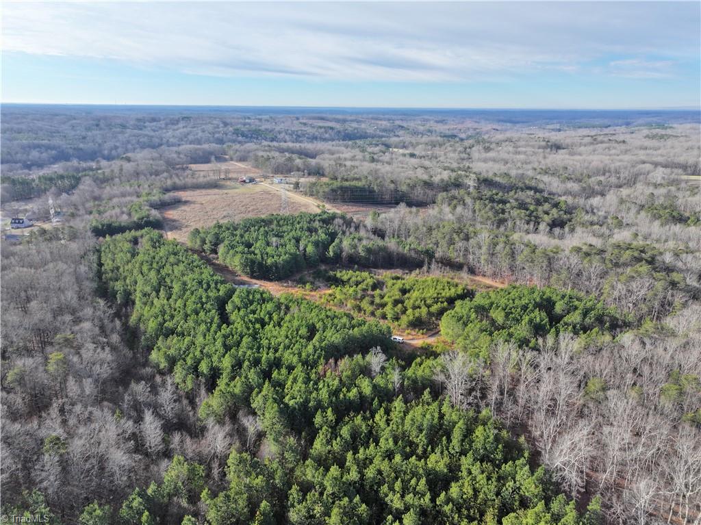 7975 Evans Farm Road Tobaccoville, NC 27050 - Photo 2 of 13