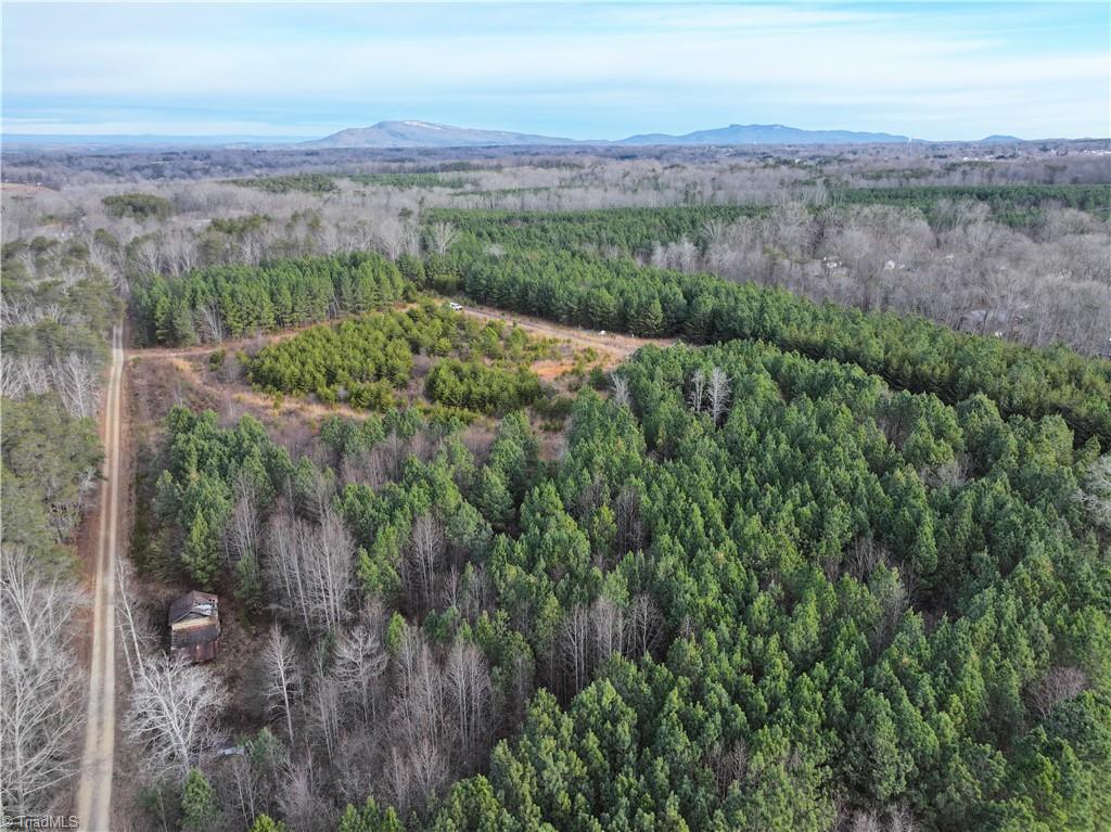 7975 Evans Farm Road Tobaccoville, NC 27050 - Photo 3 of 13