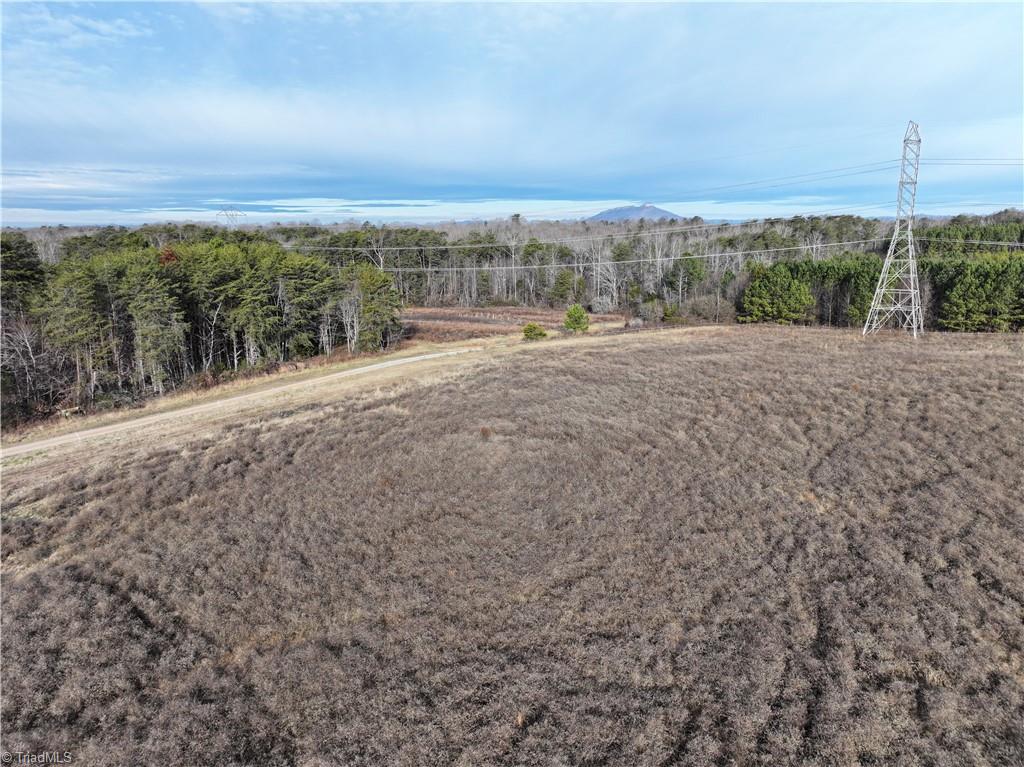 7975 Evans Farm Road Tobaccoville, NC 27050 - Photo 5 of 13