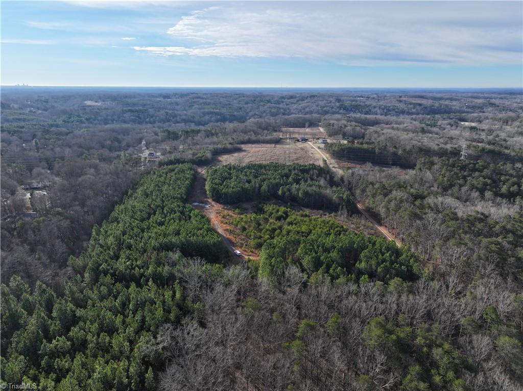 7975 Evans Farm Road Tobaccoville, NC 27050 - Photo 10 of 13