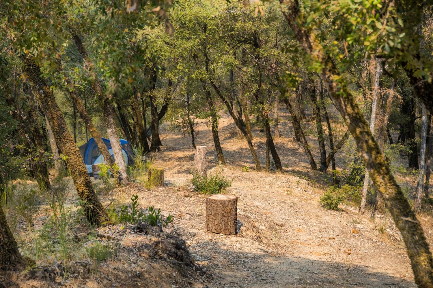 2095 Wild Goose Canyon Road Placerville, CA 95667 - Photo 11 of 20 a view of yard