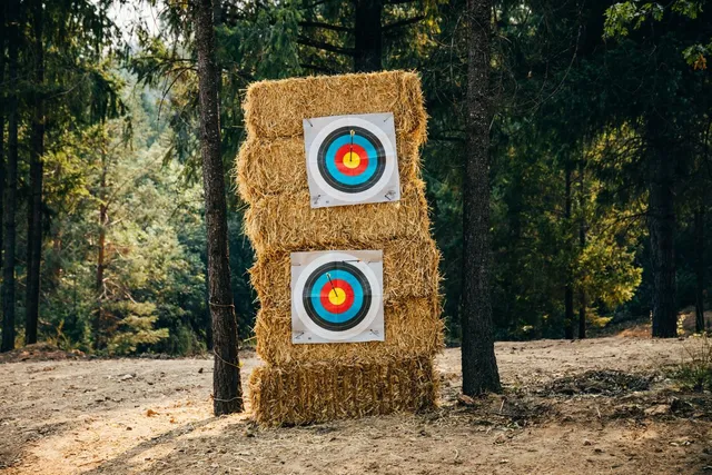 a view of a tree in a yard