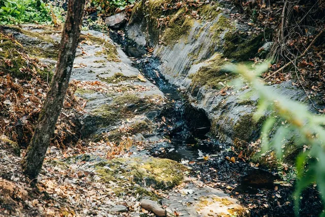 a view of a lake with a mountain in the background