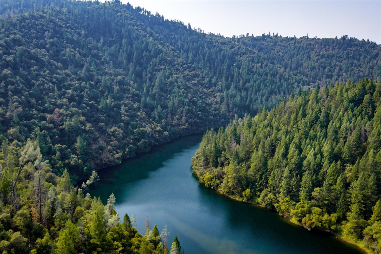2095 Wild Goose Canyon Road Placerville, CA 95667 - Photo 16 of 20 a view of a garden with a tree