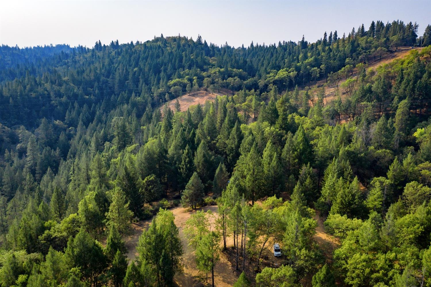 2095 Wild Goose Canyon Road Placerville, CA 95667 - Photo 18 of 20 a view of a bunch of trees and bushes