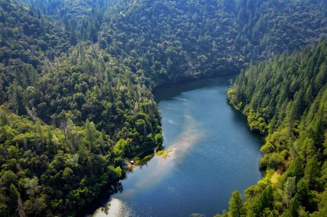 a view of a garden with plants