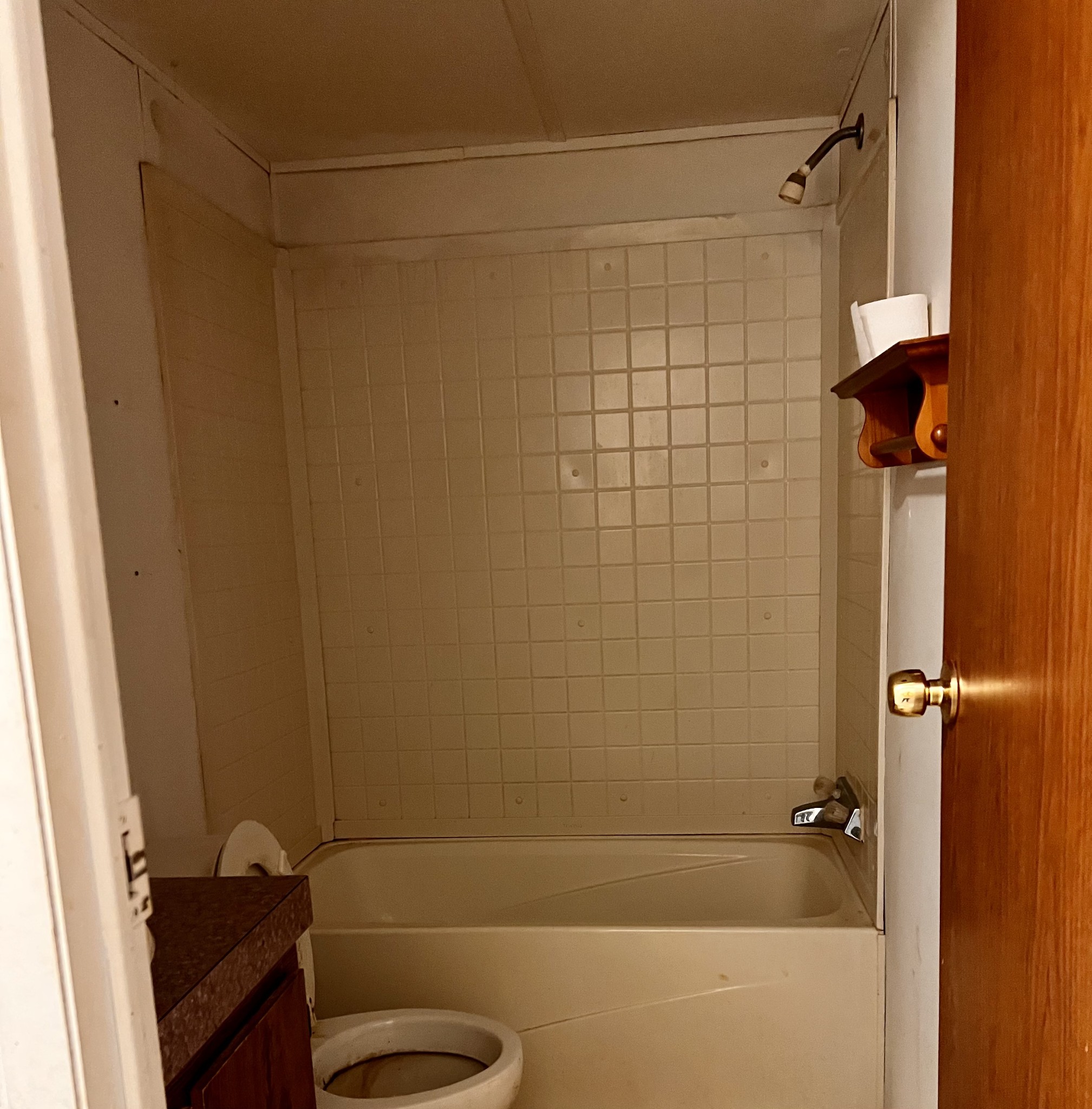 226 Old Lockhart Road Tennessee Ridge, TN 37178 - Photo 8 of 27 a bathroom with a shower and a toilet