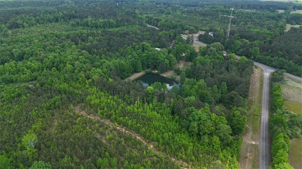 268 Ogletree Road Greenville, GA 30222 - Photo 4 of 9 a view of a forest