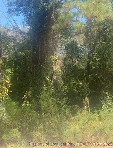 a view of a outdoor space with a tree