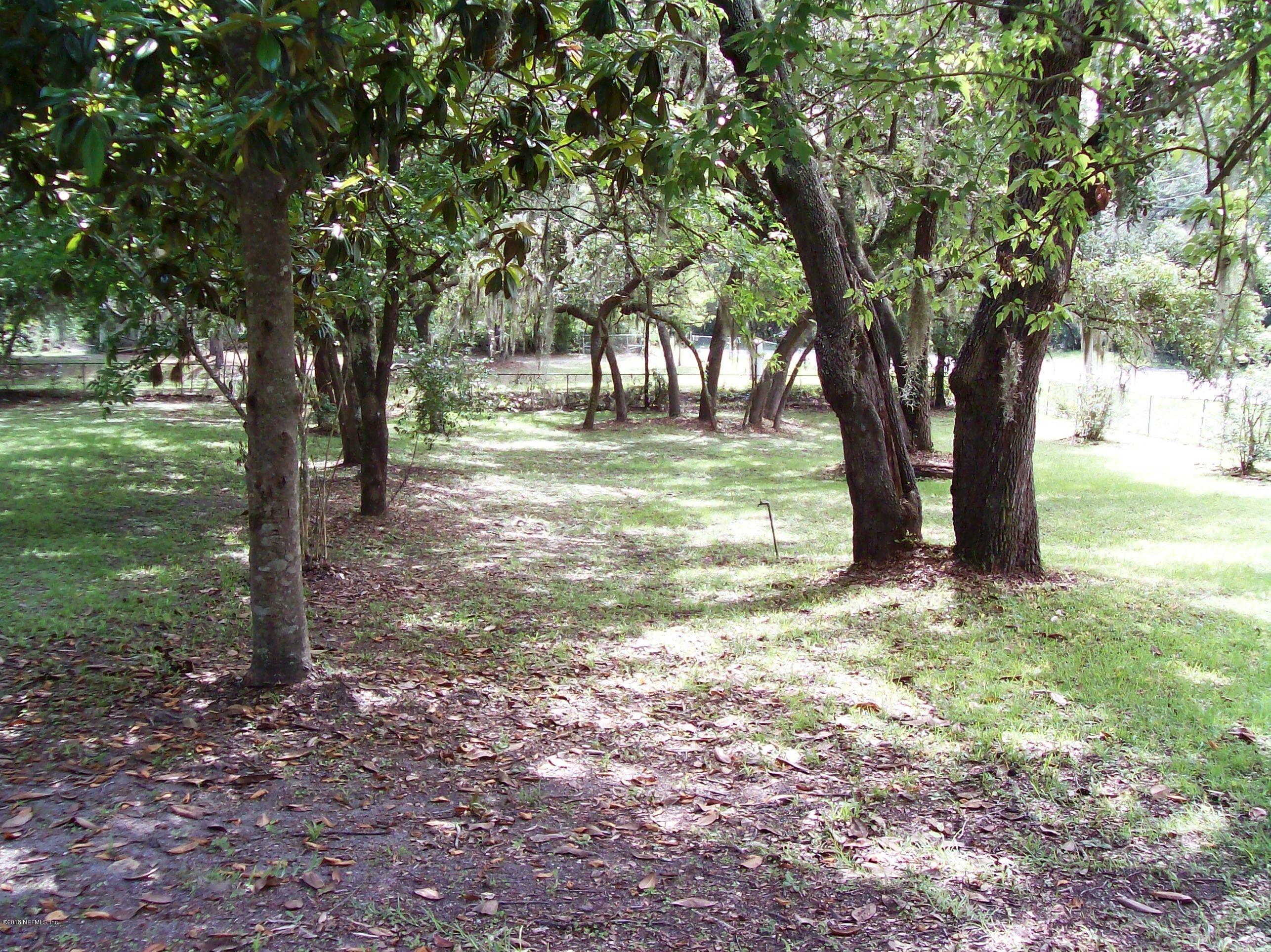 6476 Brooklyn Bay Road Keystone Heights, FL 32656 - Photo 36 of 40 36) Beautiful Lawn