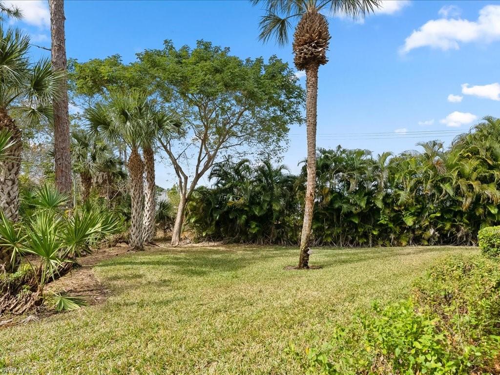 501 Robin Hood Circle, Unit 101 Naples, FL 34104 - Photo 21 of 25 Backyard