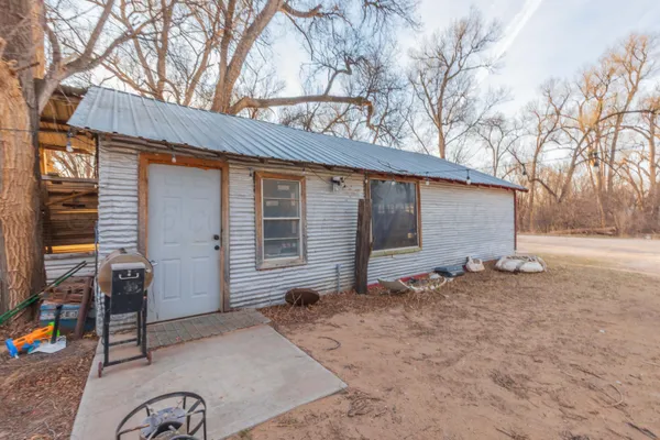 a view of a yard with a large tree