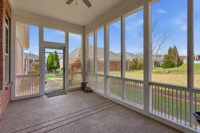 a view of a big yard with plants and a large tree