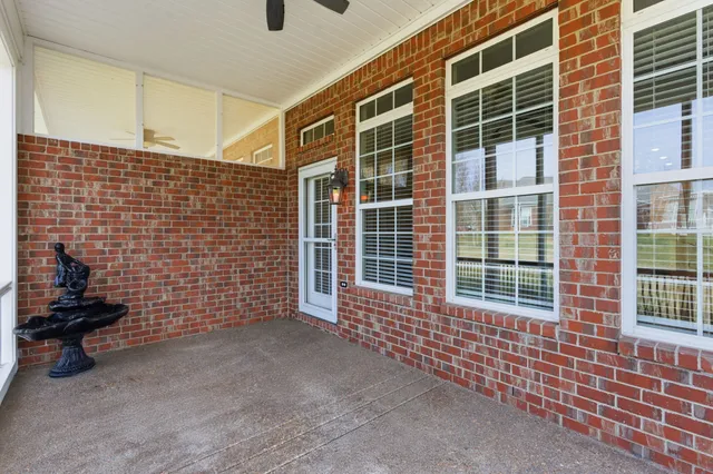 a view of a big yard with plants and a large tree
