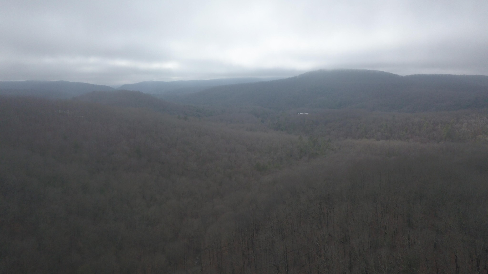 0 Grouse Ridge Road Harriman, TN 37748 - Photo 1 of 15 Gallery Image 1