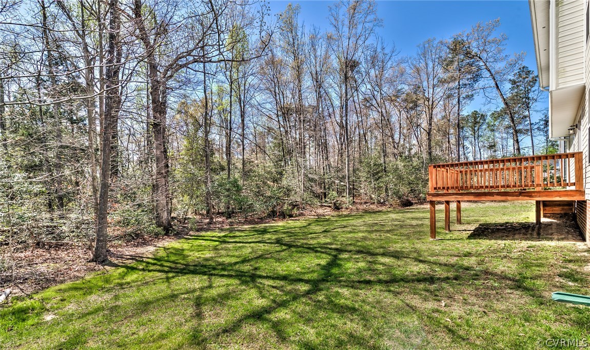 11753 Oakrise Road New Kent, VA 23124 - Photo 8 of 30 Back yard