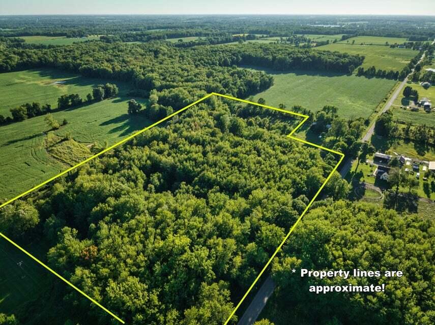 Bidwell Road Coldwater, MI 49036 - Photo 1 of 17 20220902213001058130000000-o