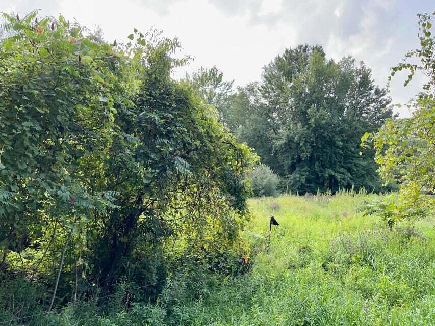 Bidwell Road Coldwater, MI 49036 - Photo 11 of 17 20220902213220623748000000-o