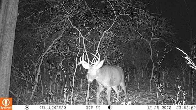 Bidwell Road Coldwater, MI 49036 - Photo 13 of 17 Image 2
