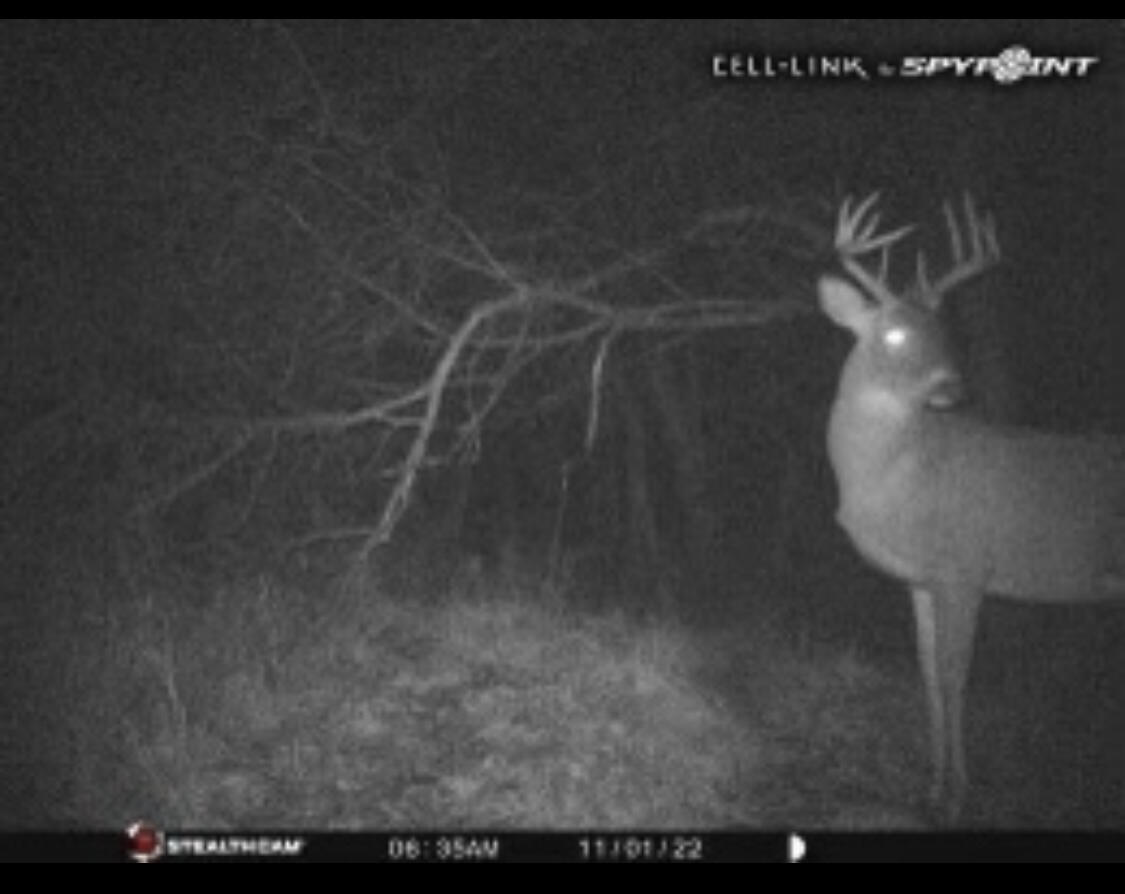 Bidwell Road Coldwater, MI 49036 - Photo 15 of 17 Image 6