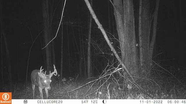 Bidwell Road Coldwater, MI 49036 - Photo 5 of 17 Image 11