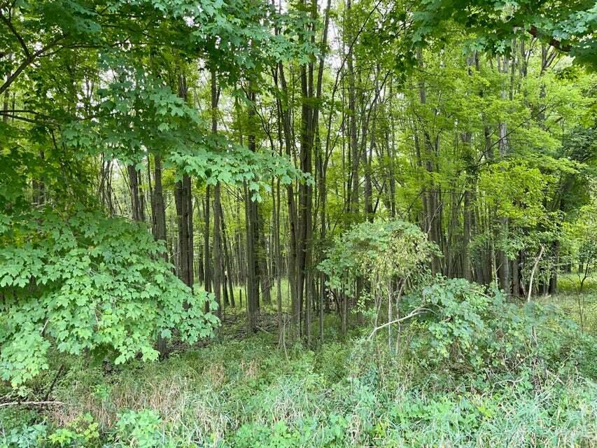 Bidwell Road Coldwater, MI 49036 - Photo 9 of 17 20220902213430771590000000-o