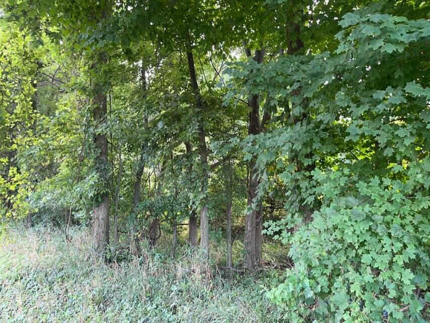 Bidwell Road Coldwater, MI 49036 - Photo 10 of 17 20220902213321474390000000-o