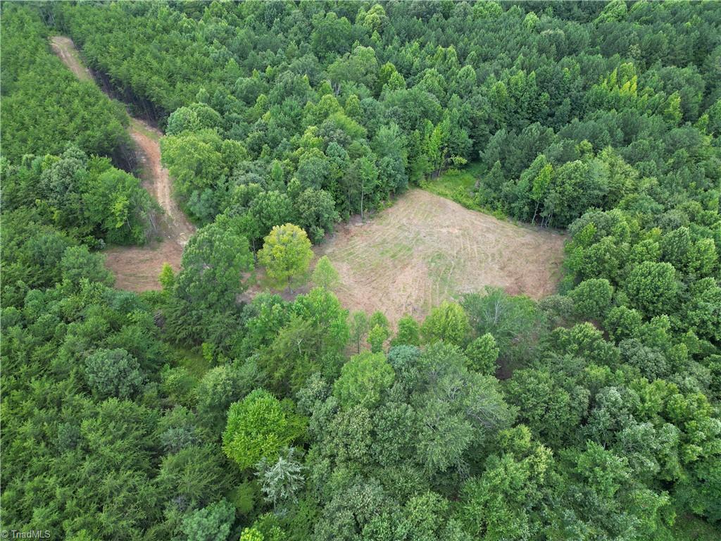 0 Rock Quarry Road Pelham, NC 27311 - Photo 11 of 36