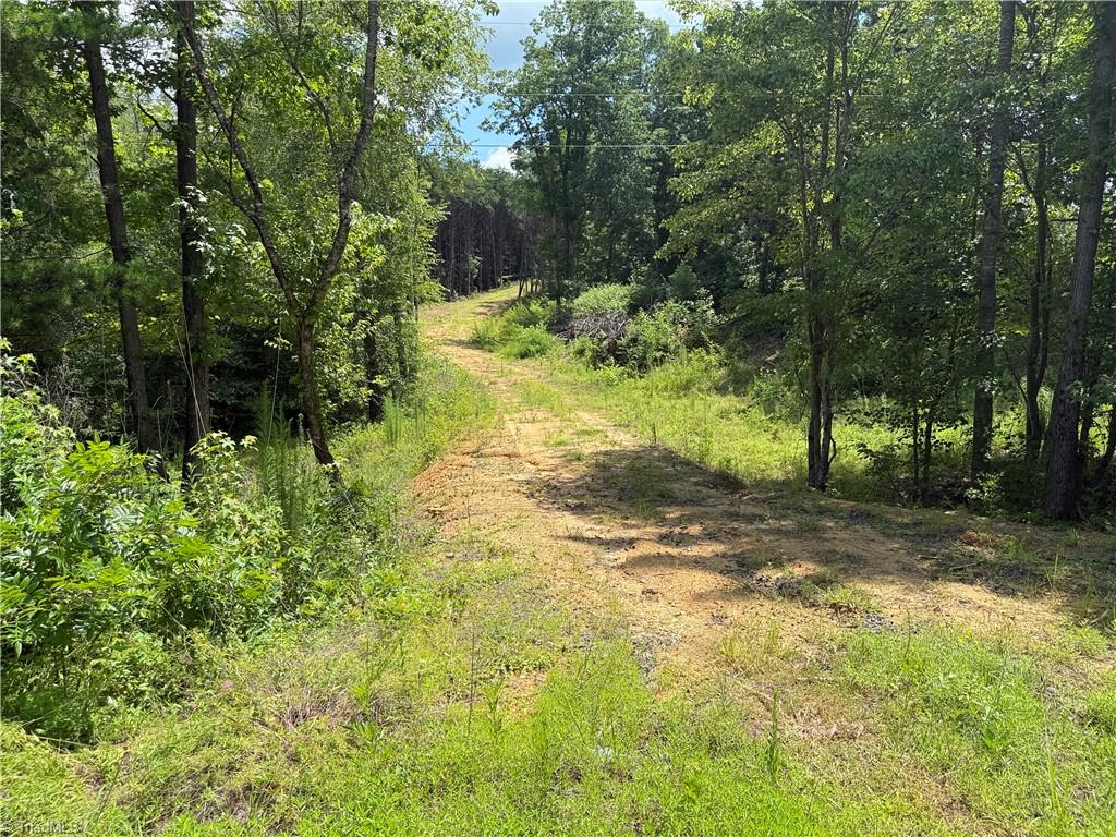 0 Rock Quarry Road Pelham, NC 27311 - Photo 14 of 36