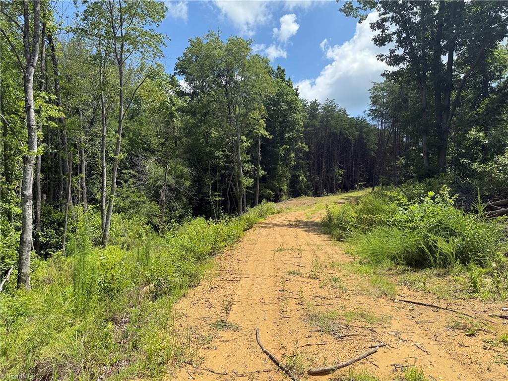 0 Rock Quarry Road Pelham, NC 27311 - Photo 15 of 36