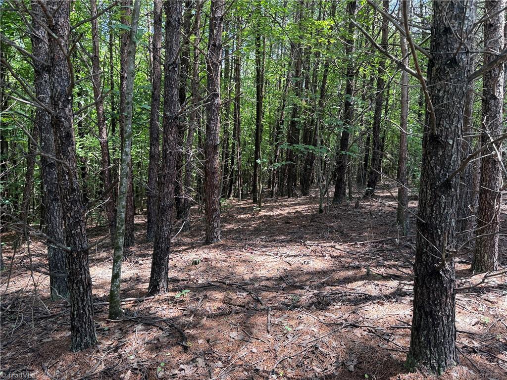 0 Rock Quarry Road Pelham, NC 27311 - Photo 16 of 36