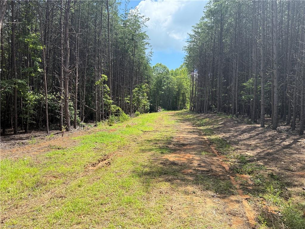 0 Rock Quarry Road Pelham, NC 27311 - Photo 17 of 36