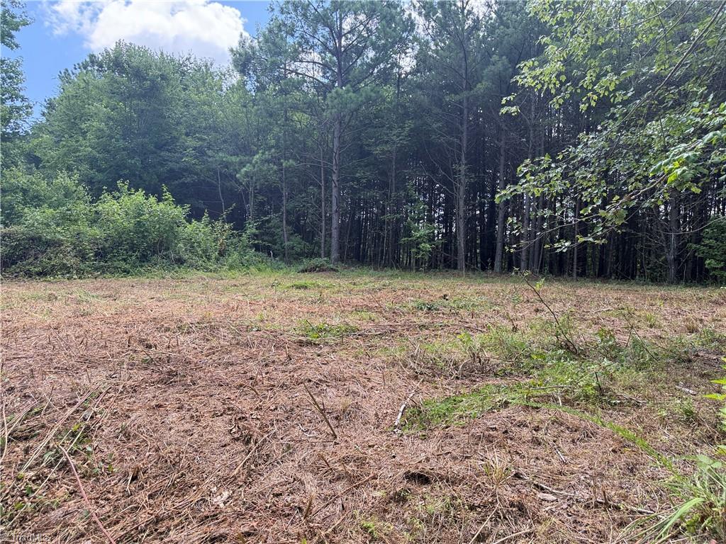 0 Rock Quarry Road Pelham, NC 27311 - Photo 19 of 36