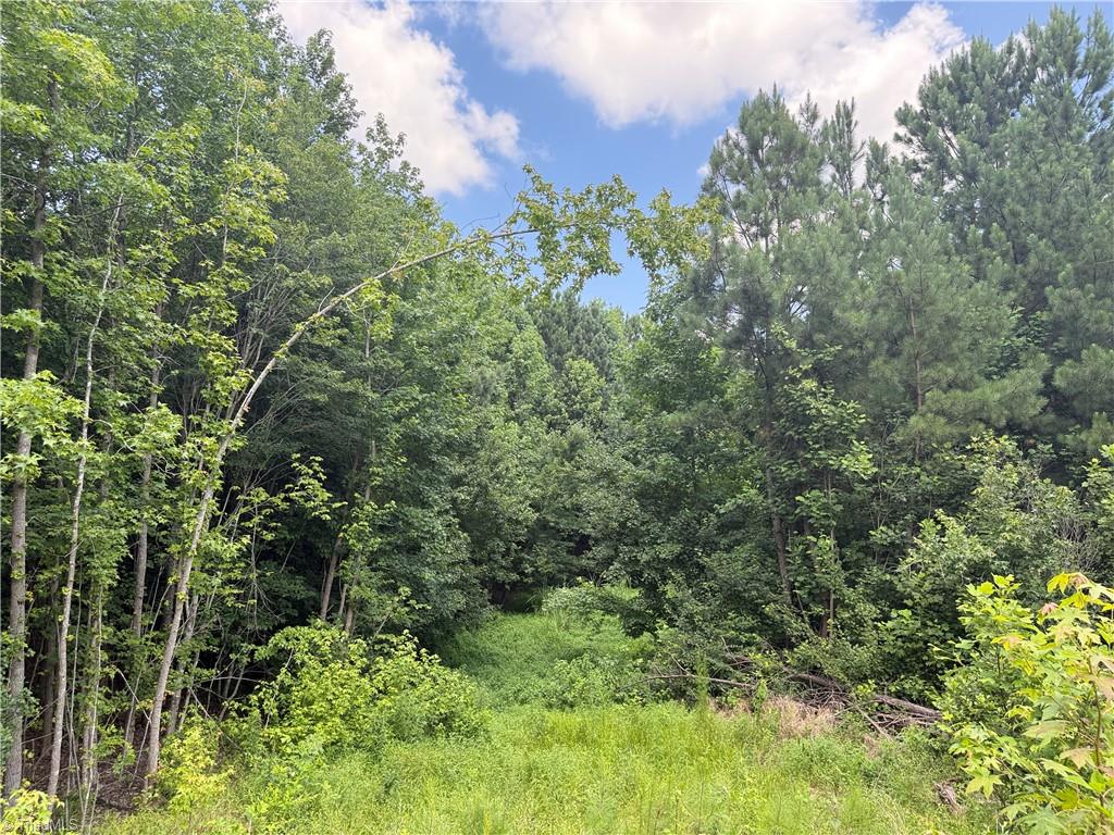 0 Rock Quarry Road Pelham, NC 27311 - Photo 20 of 36