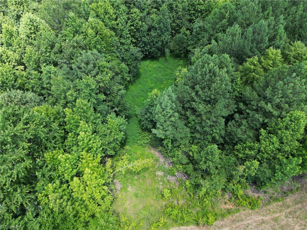 0 Rock Quarry Road Pelham, NC 27311 - Photo 2 of 36
