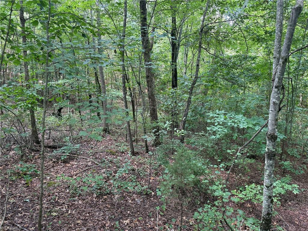 0 Rock Quarry Road Pelham, NC 27311 - Photo 21 of 36