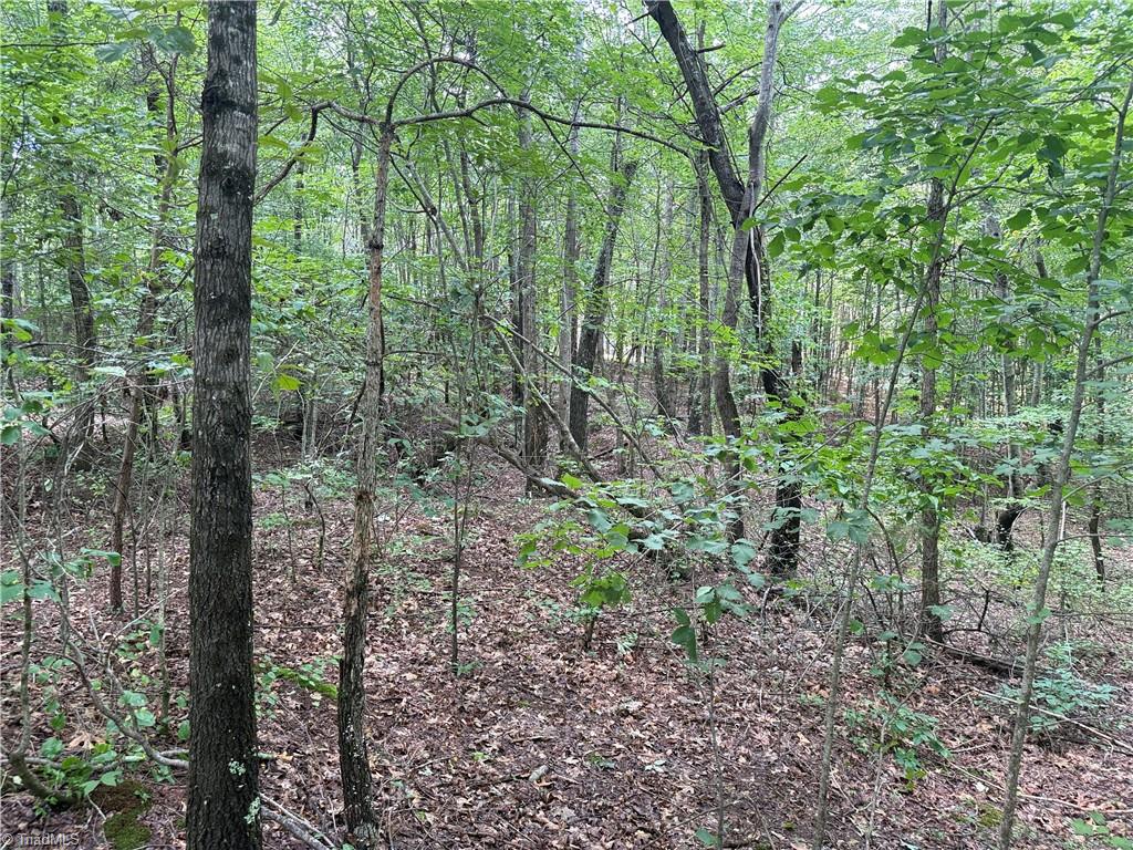 0 Rock Quarry Road Pelham, NC 27311 - Photo 22 of 36