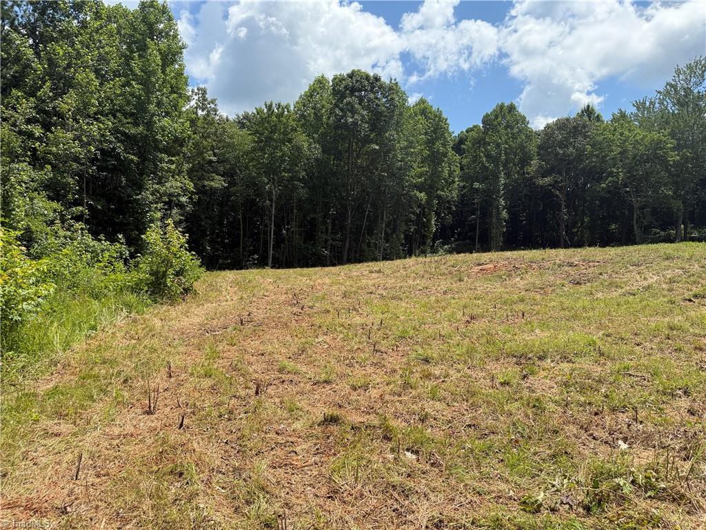 0 Rock Quarry Road Pelham, NC 27311 - Photo 23 of 36