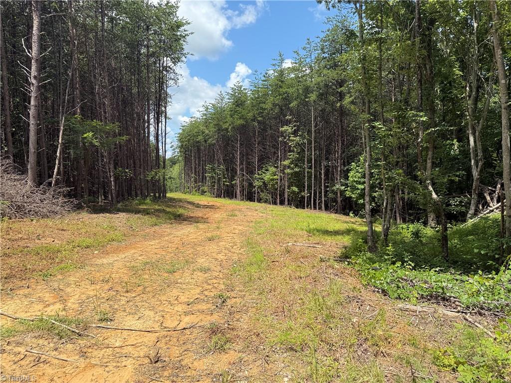 0 Rock Quarry Road Pelham, NC 27311 - Photo 24 of 36