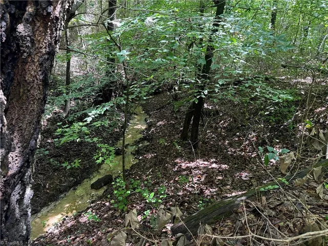 $197,400 | 0 Rock Quarry Road, Pelham, NC 27311